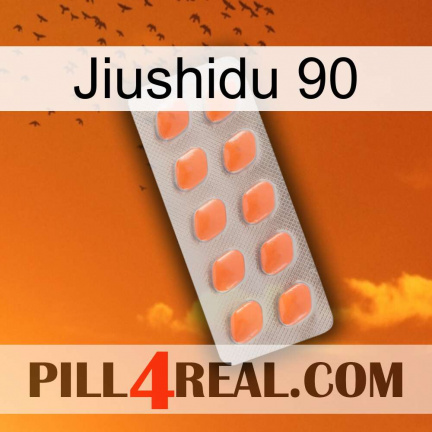 Jiushidu 90 26